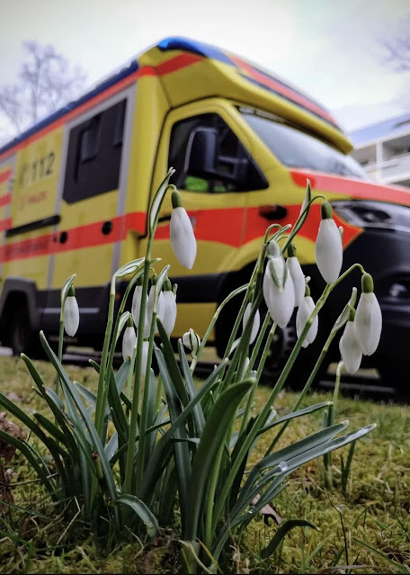 Images of EMS – Spring Is In The Air