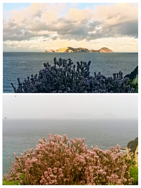 Il sostegno dell’isola – diario scombinato di un’insegnante in trasferta a Ponza 💙 #10