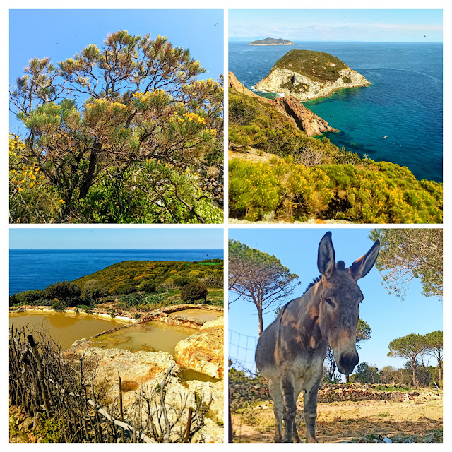 Il sostegno dell’isola – diario scombinato di un’insegnante in trasferta a Ponza 💙 #22