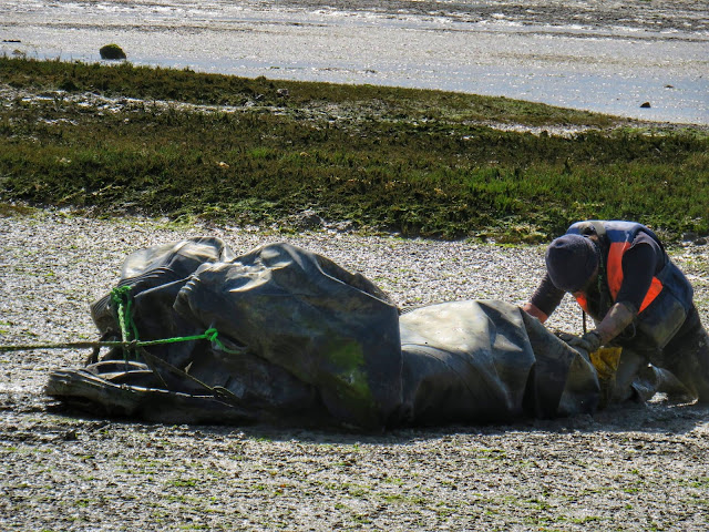 PRIMERA ACTIVIDAD DEL PROYECTO LIBERA XXL RESUELTA: “NEUMÁTICA FUERA DEL ECOSISTEMA”
