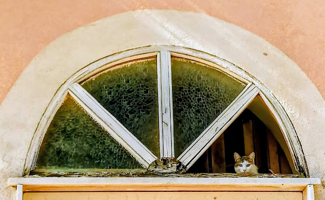 Il sostegno dell’isola – diario scombinato di un’insegnante in trasferta a Ponza 💙 #18