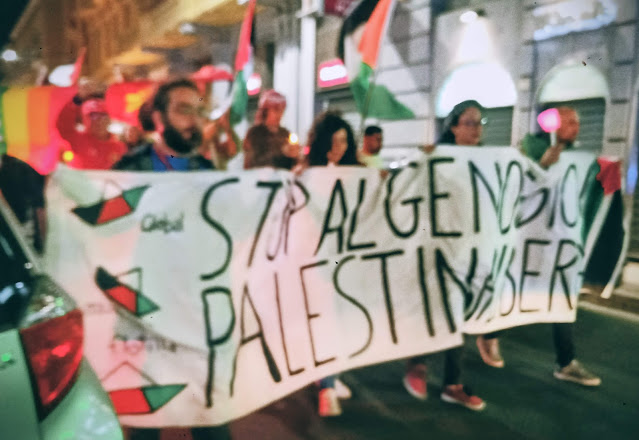 Il sostegno dell’isola – diario scombinato di un’insegnante in trasferta a Ponza 💙 #4