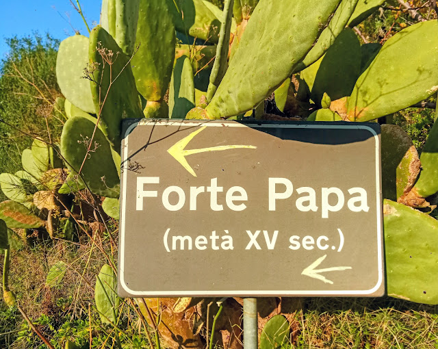 Il sostegno dell’isola – diario scombinato di un’insegnante in trasferta a Ponza 💙 #9