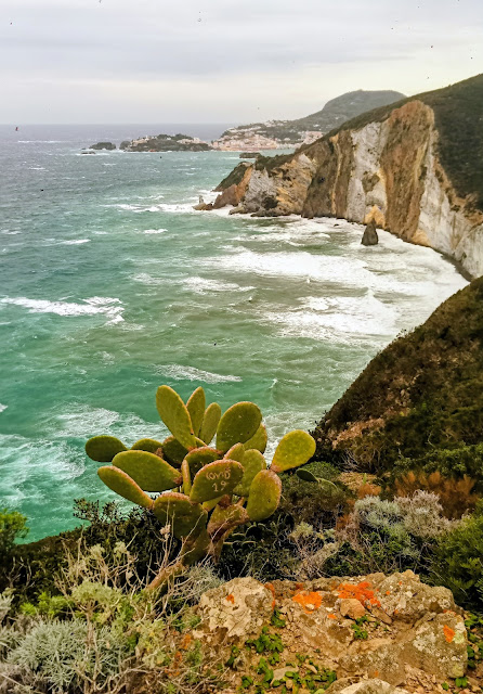 Il sostegno dell’isola – diario scombinato di un’insegnante in trasferta a Ponza 💙 #15