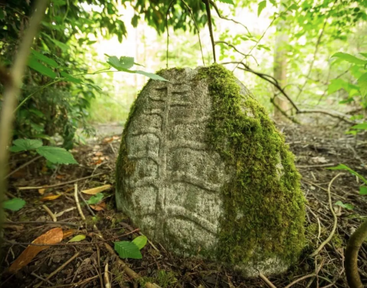 Why We Can’t Have Nice Things