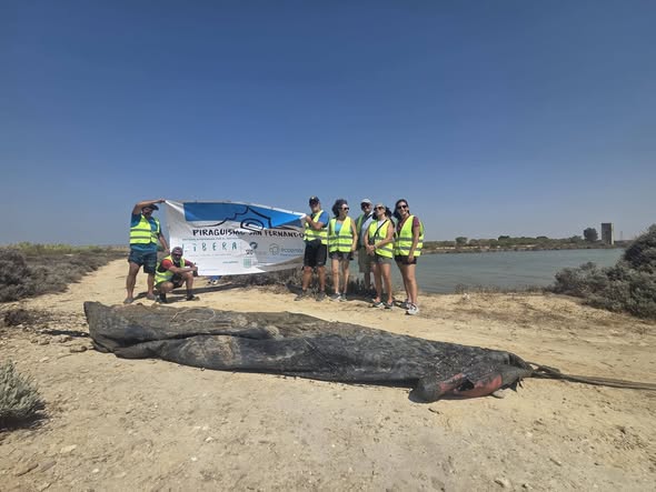 NEUMATICA RETIRADA DE LA SALINA SANTA BARBARA (CAÑO ZURRAQUE)